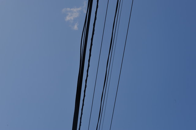 b0102780_7263815.jpg
