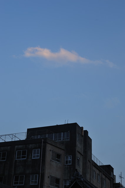 b0102780_7265476.jpg