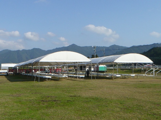 d0114583_1547918.jpg