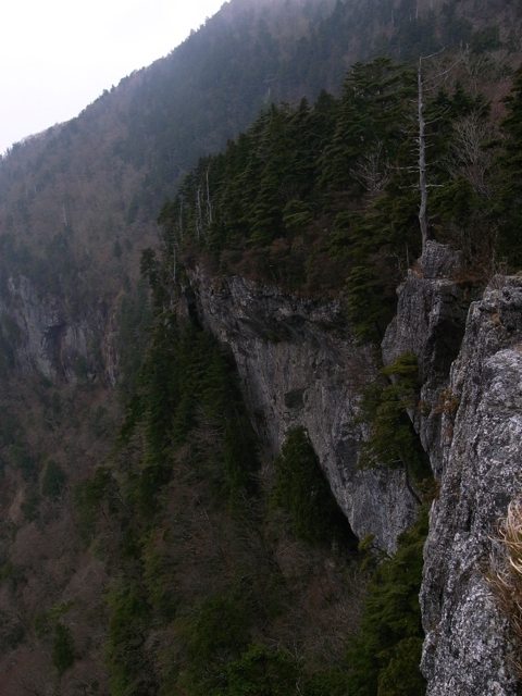 e0129083_1740350.jpg