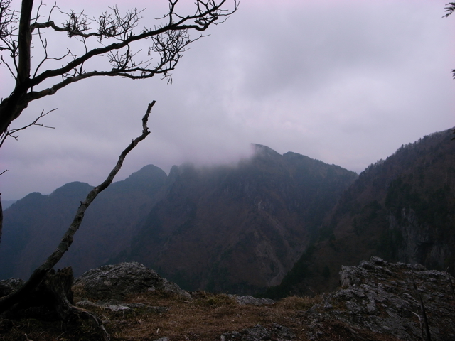e0129083_17421276.jpg