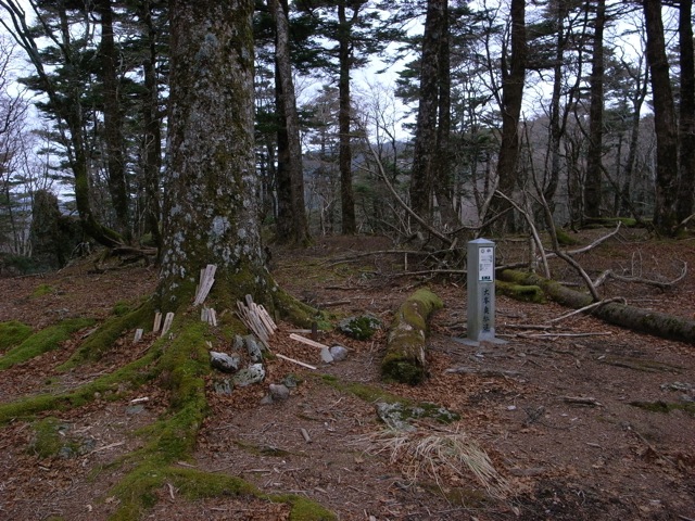 e0129083_18311245.jpg