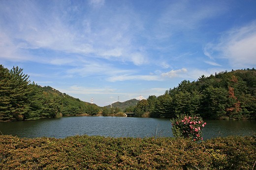 e0190885_1914064.jpg