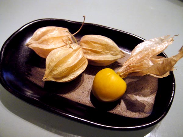 f0178087_604516.jpg