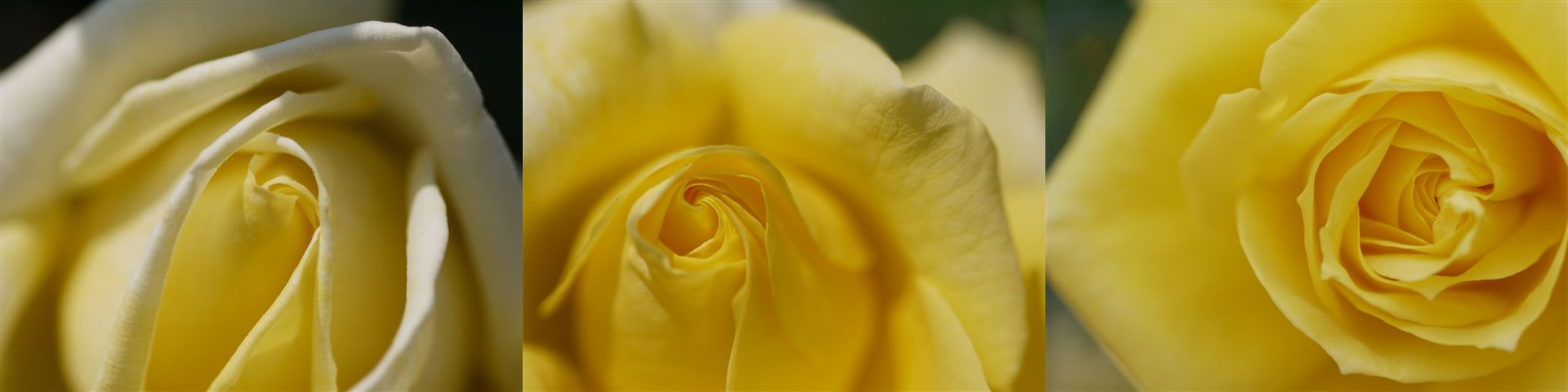 b0175688_13112272.jpg
