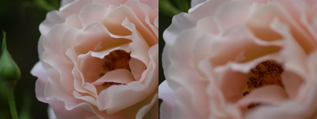 b0175688_1311471.jpg