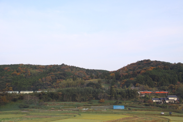 b0114392_11284093.jpg