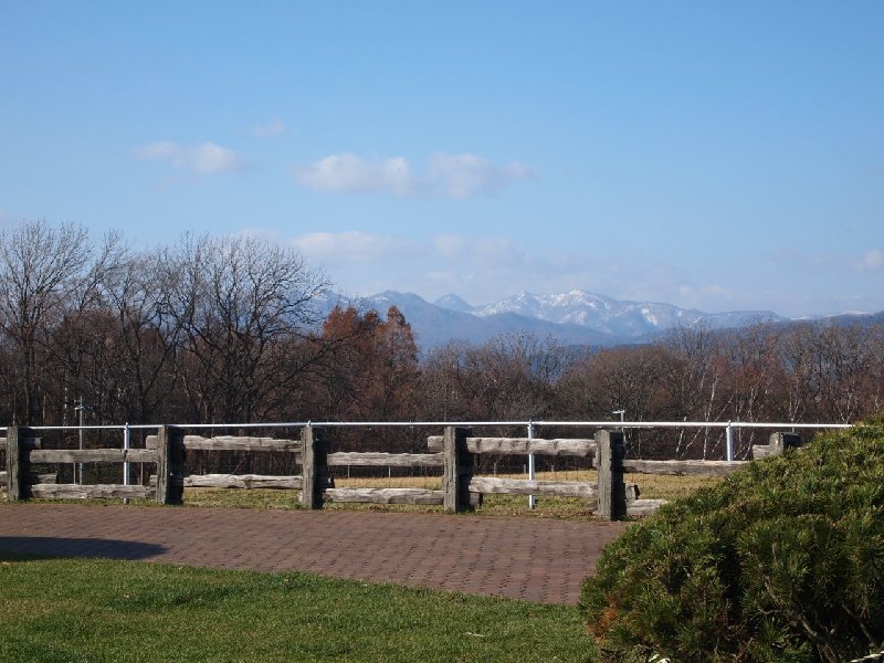 e0111793_16382968.jpg