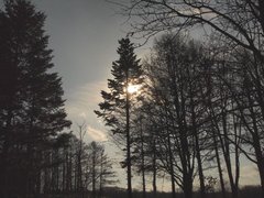 e0111793_16505629.jpg