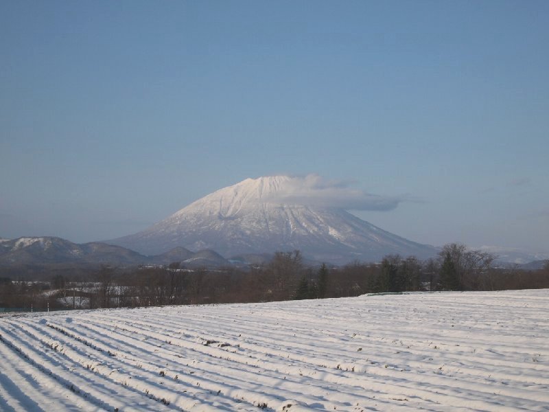 e0111793_2144919.jpg