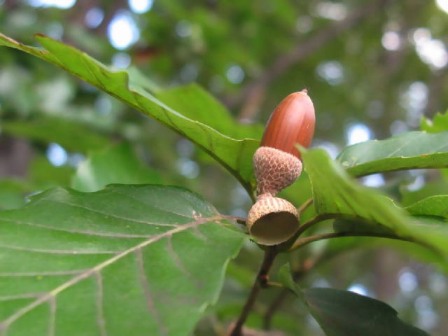 f0137096_23312871.jpg