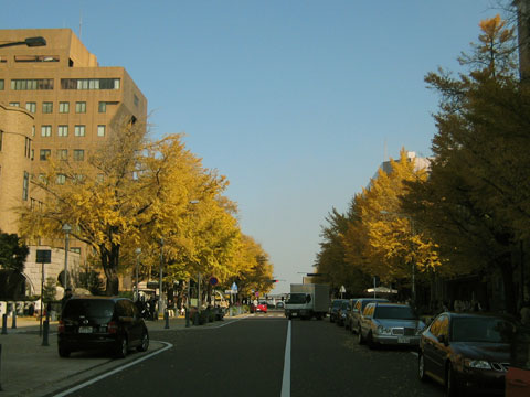 b0097200_1813663.jpg