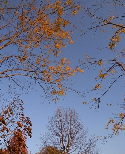 f0065604_21355164.jpg