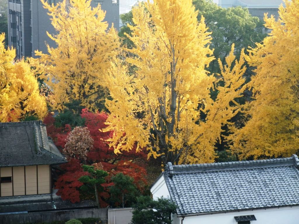 c0152507_11252277.jpg