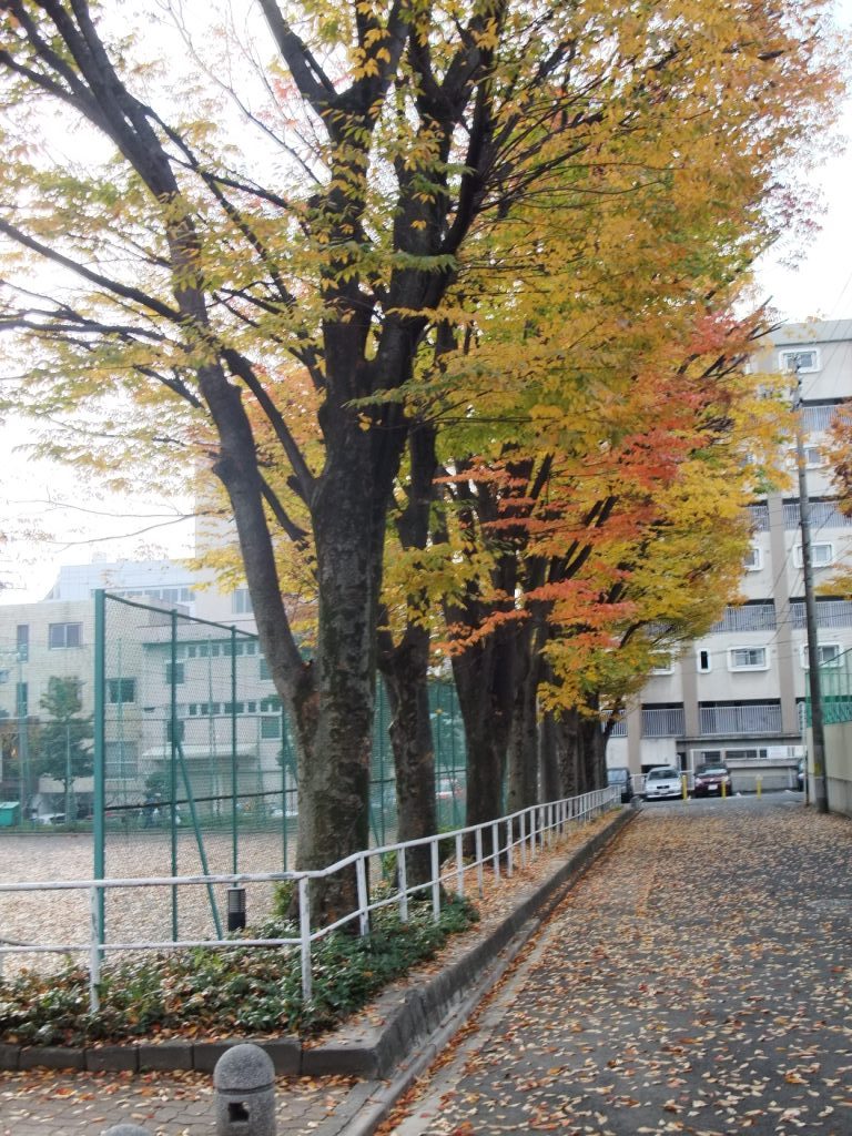 c0152507_11354638.jpg