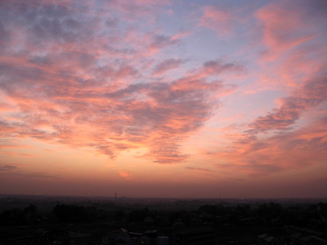 e0106712_1065431.jpg