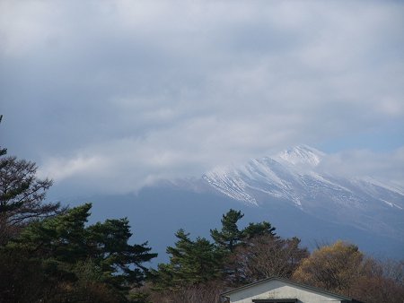 d0143214_2332431.jpg
