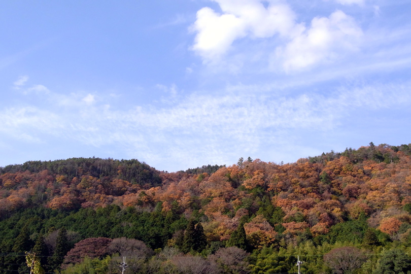 e0083517_0574726.jpg