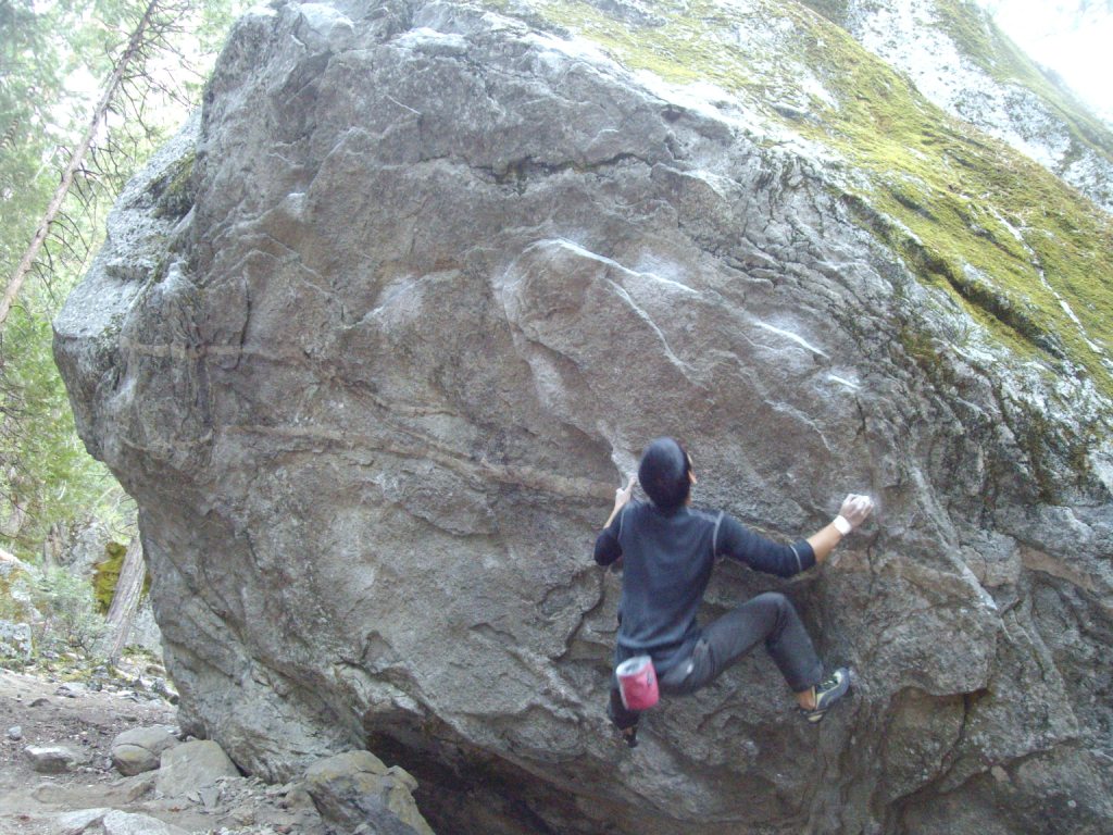 c0210618_1513132.jpg