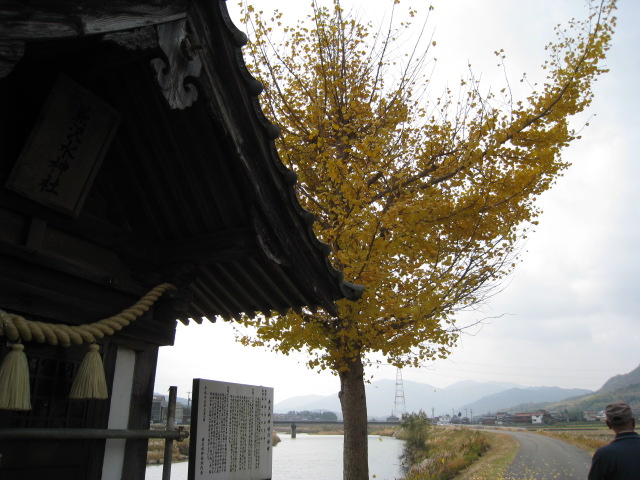 c0197220_17385299.jpg