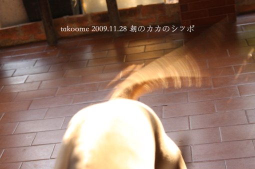 d0042827_1413424.jpg