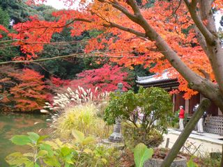 b0044528_23273889.jpg
