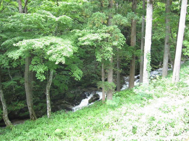 d0088735_1251662.jpg