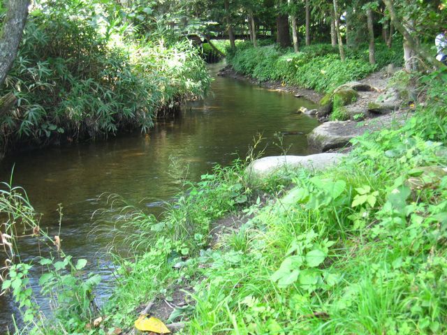 d0088735_135998.jpg