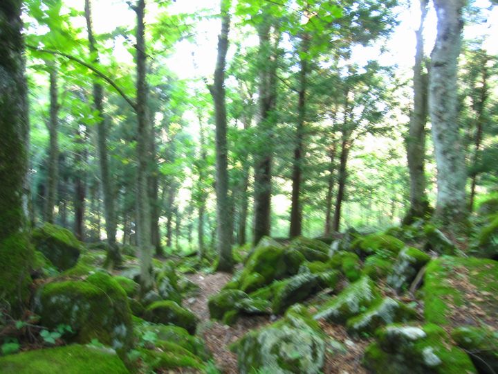 d0088735_2047671.jpg