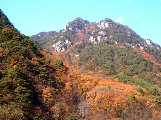 b0178339_17184844.jpg