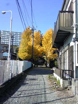 e0023643_23293555.jpg