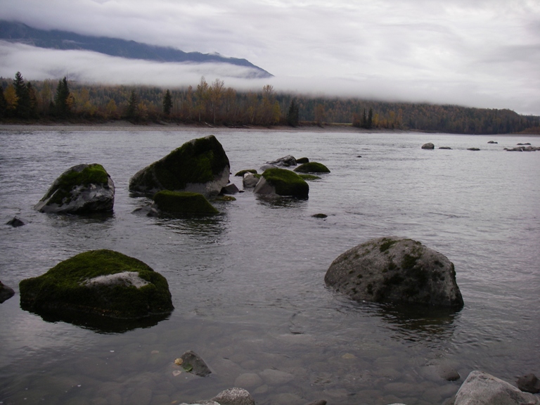 f0084544_12584697.jpg