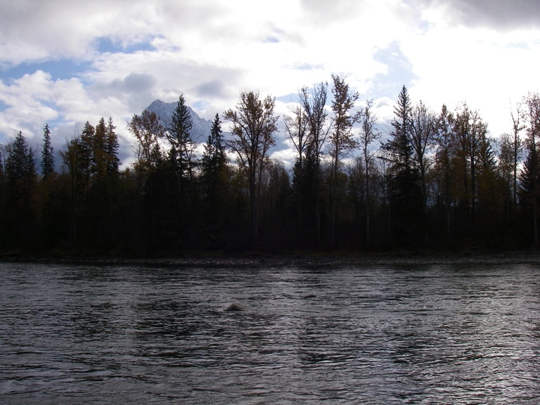f0084544_1372615.jpg