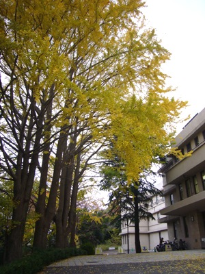 e0100046_1813413.jpg