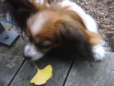 e0100046_18141013.jpg