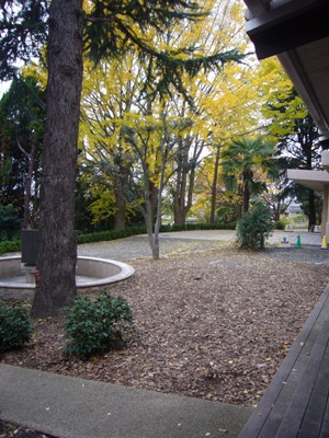 e0100046_183402.jpg