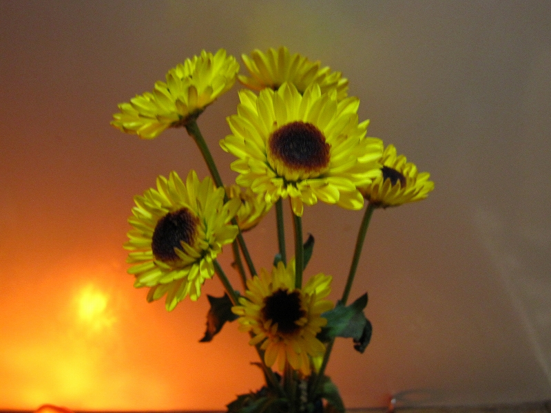 b0097747_1493738.jpg