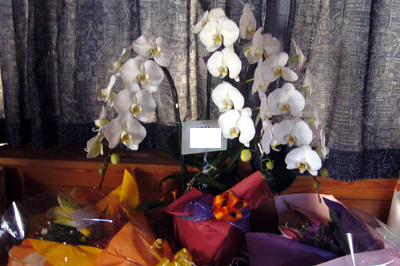 d0070047_1452810.jpg