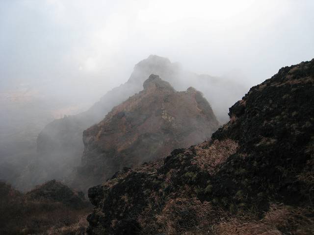 b0161750_21484140.jpg