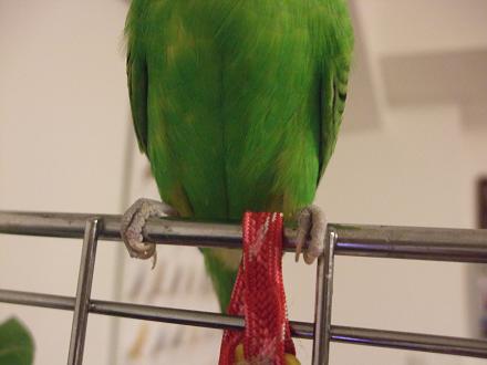 f0149057_05020.jpg