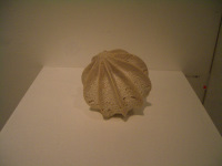 d0087761_34361.jpg