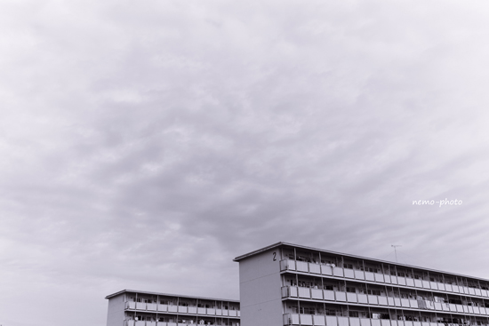 b0177262_14364668.jpg