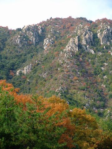 e0045768_22779.jpg