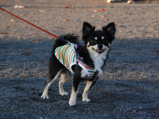 f0065768_14493846.jpg