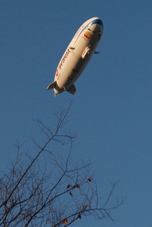 f0065768_1572792.jpg