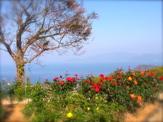 b0039373_17294276.jpg