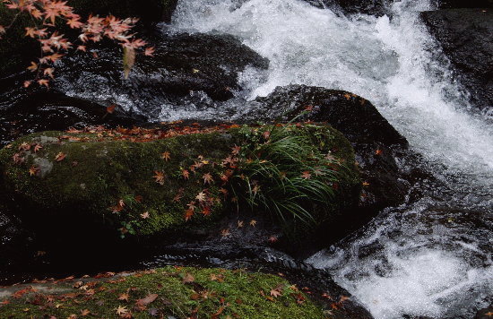f0181173_23253750.jpg