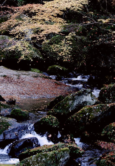 f0181173_23255378.jpg