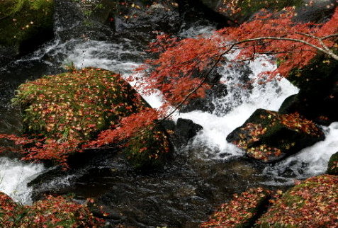f0181173_23261091.jpg