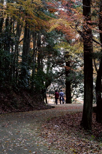 f0181173_23262484.jpg
